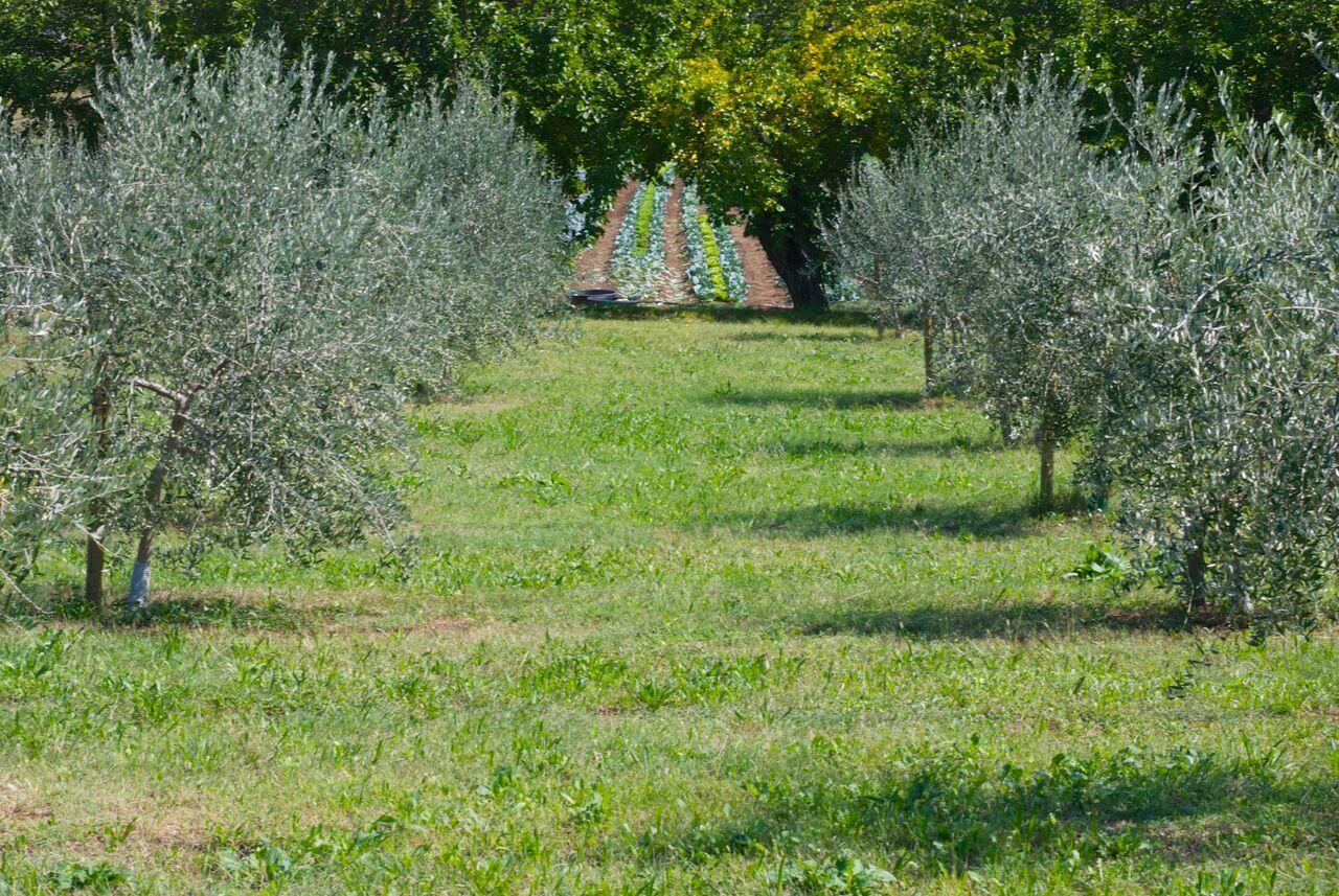 Sarcedo La Costa Fattoria Socialeヴィラ エクステリア 写真