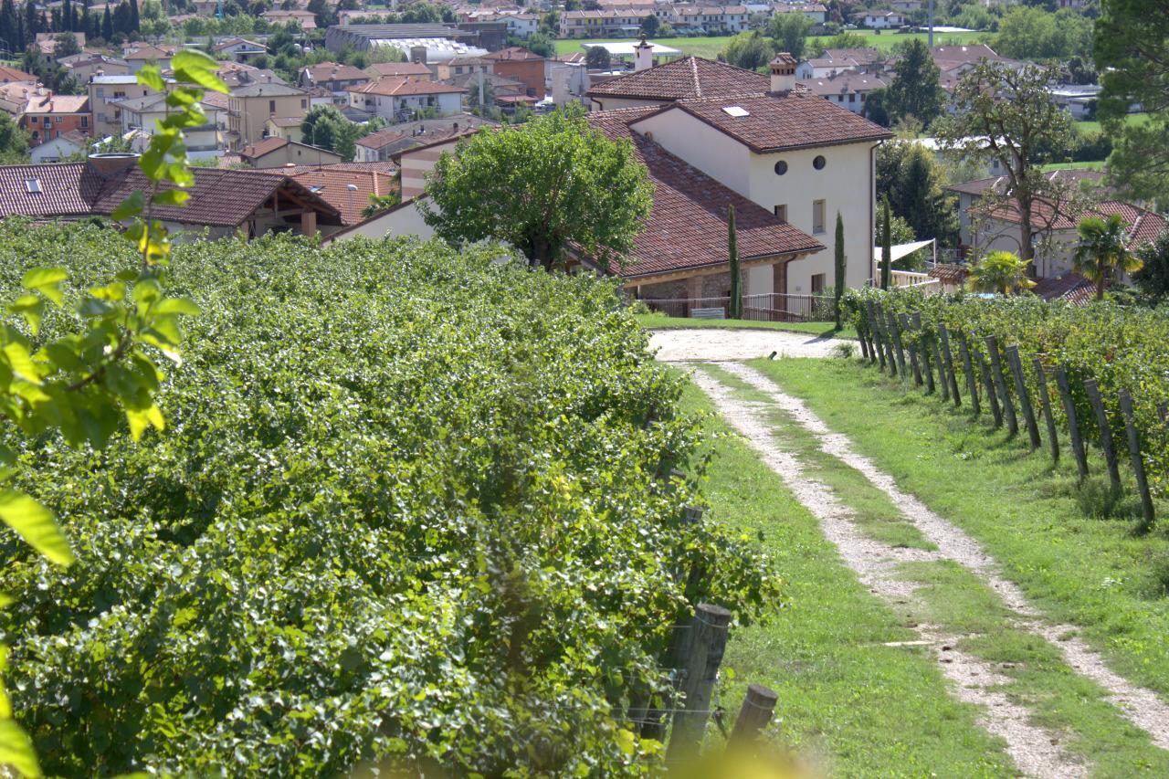 Sarcedo La Costa Fattoria Socialeヴィラ エクステリア 写真