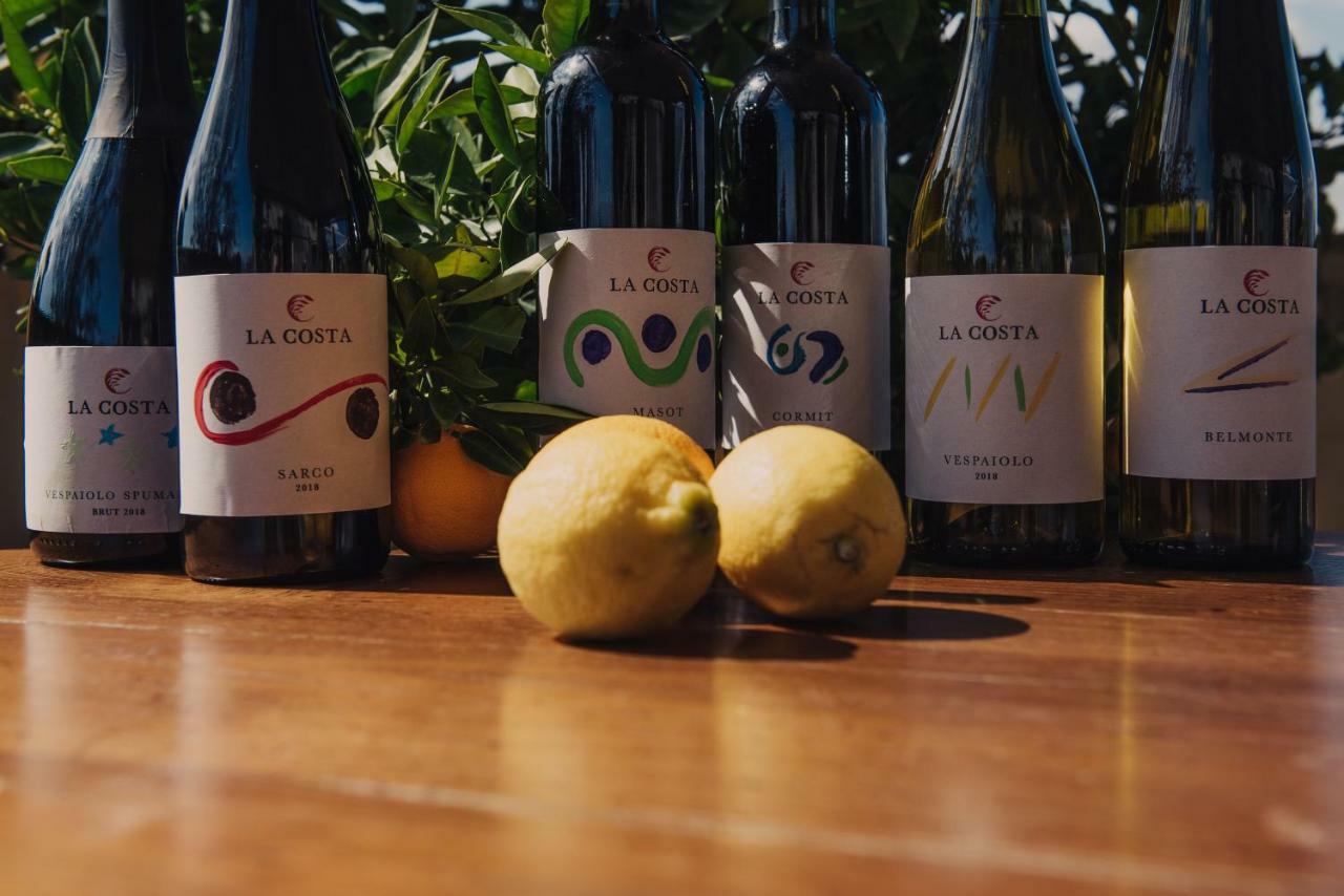 Sarcedo La Costa Fattoria Socialeヴィラ エクステリア 写真